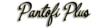 Pantofi Plus